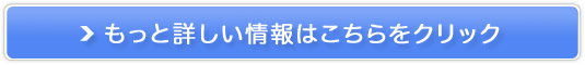 ӂ邳Ɣ[ł̐V`f-style̔TCg